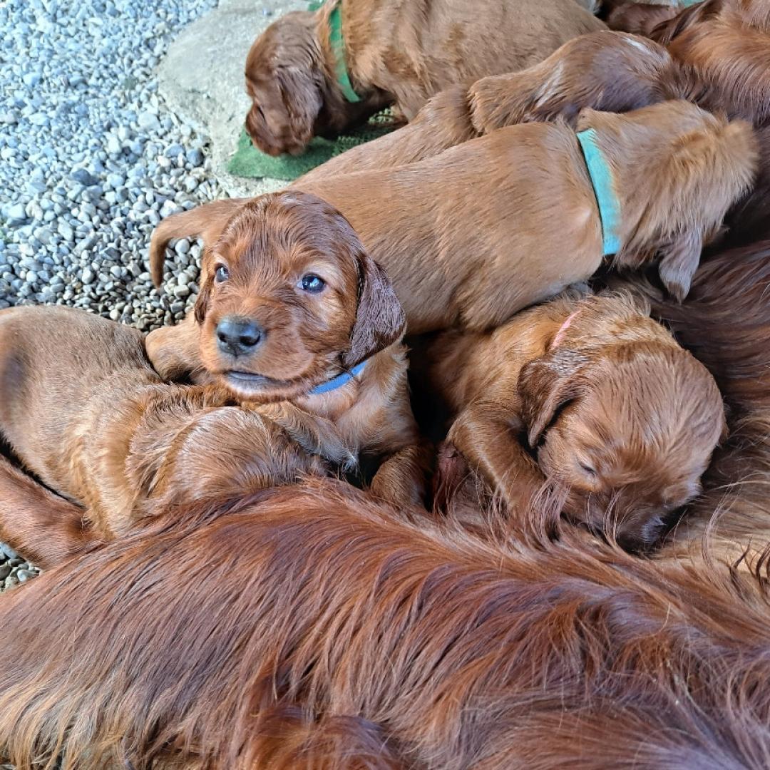 Kuscheln ist immer schön