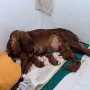 eine Traumgeburt