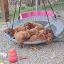 Wir sind 8 Wochen 