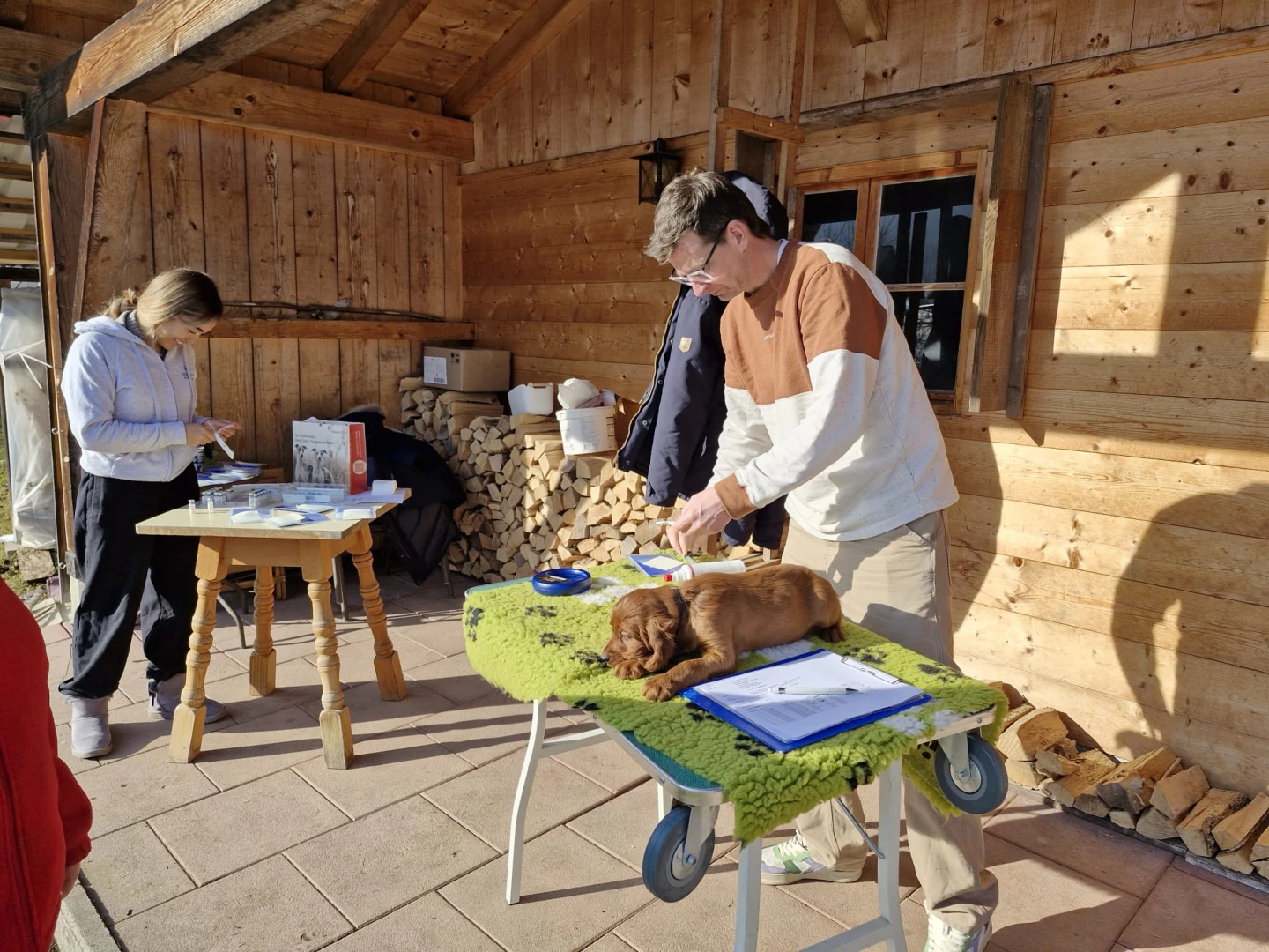 Heute wurden wir von unserem betreuenden Tierarzt Dr. Jannis Uhrig geimpft und gechipt. Alle waren wir ganz tapfer.