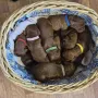 Tag 5 Ein Dutzend voller Glück