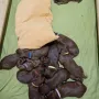 Morgen 2 Wochen jung und unsere erste Wurmkur hat begonnen