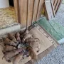 Fressen klappt schon ganz gut