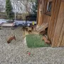 Bald 5 Wochen und ab heute gefällt uns die bayerische Bergluft 