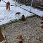 Bald 5 Wochen und ab heute gefällt uns die bayerische Bergluft 