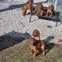 6 Wochen und voller Tatendrang