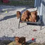 6 Wochen und voller Tatendrang