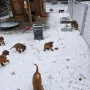 7 Wochen, die letzte Woche in Aurach hat mit Schnee begonnen