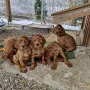 7 Wochen, die letzte Woche in Aurach und bei Herta genießen wir.