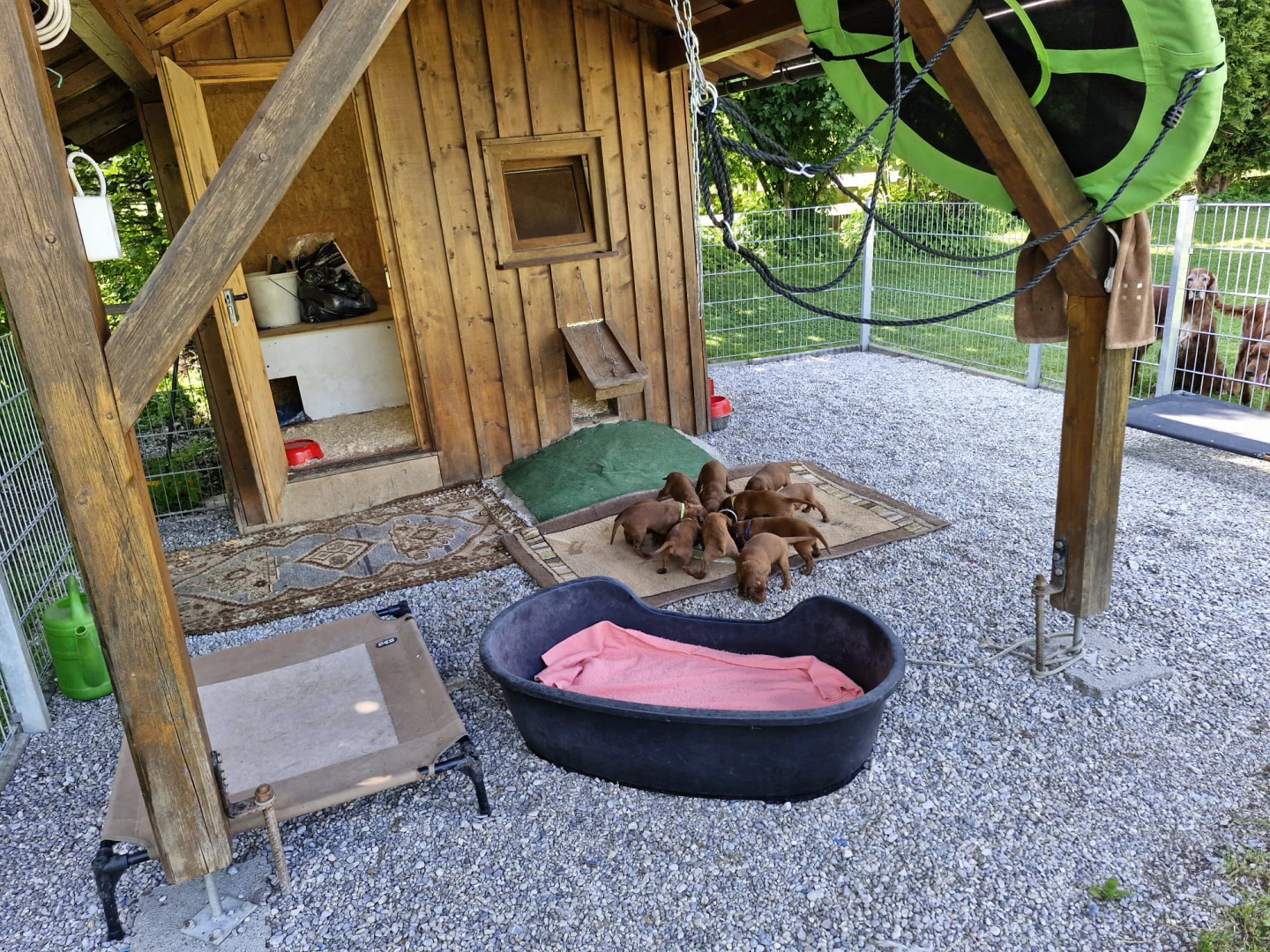 Umzug in unser Schloss bei bestem Wetter