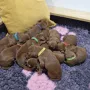 5 Tage jung und ganz schön gewachsen