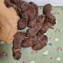 Gute 2 Wochen jung und die Entwicklung ist super