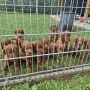 Jetzt sind wir 6 Wochen jung