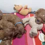 3 Wochen und kuscheln ist so schön