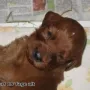 die Augen haben wir auch schon auf