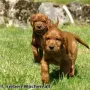 Hey, das Leben ist schön :-))
