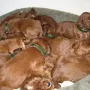 und nochmal ein Foto von uns - 3 Wochen alt